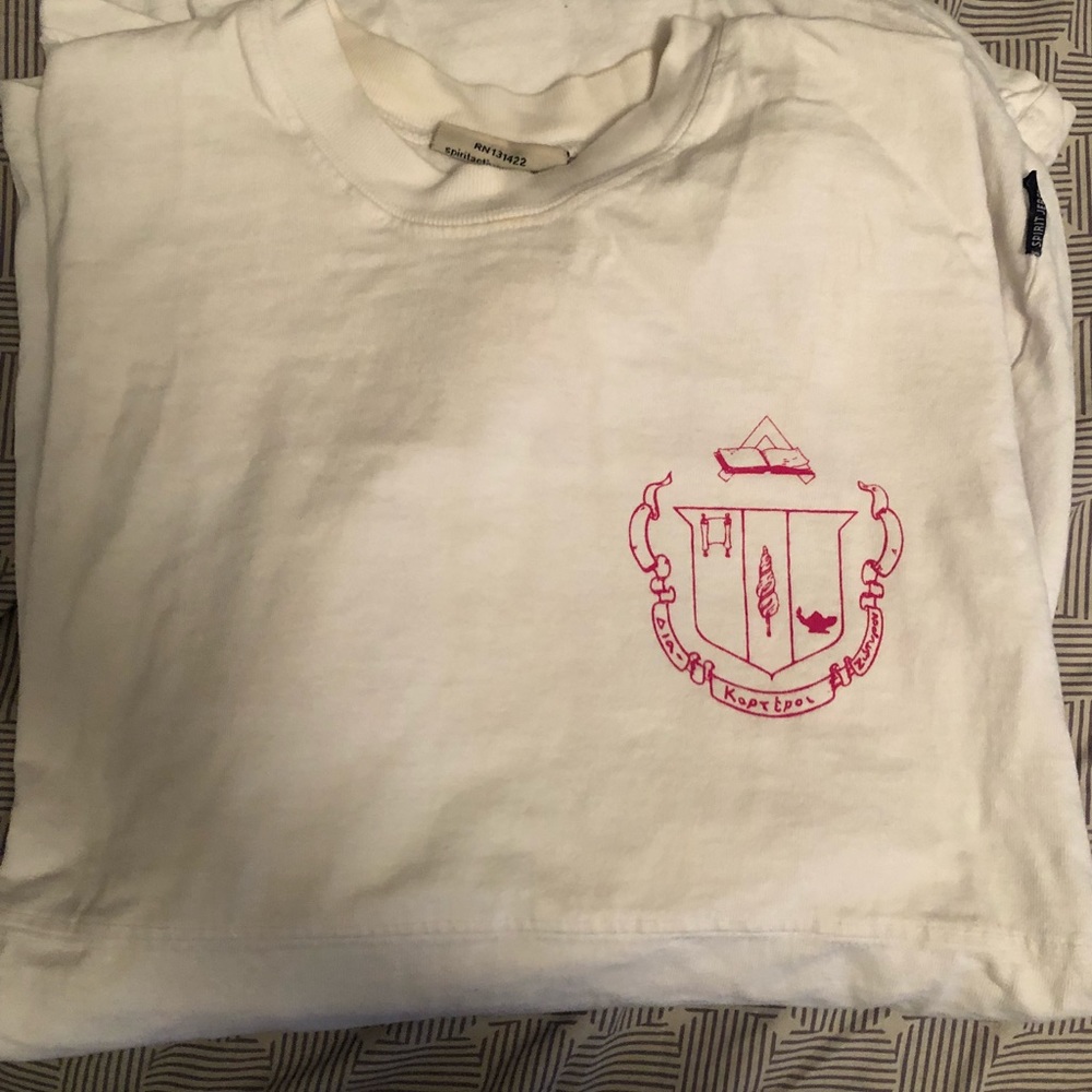 Delta zeta spirit jersey - Lilly Pulitzer - Picture 2 of 2